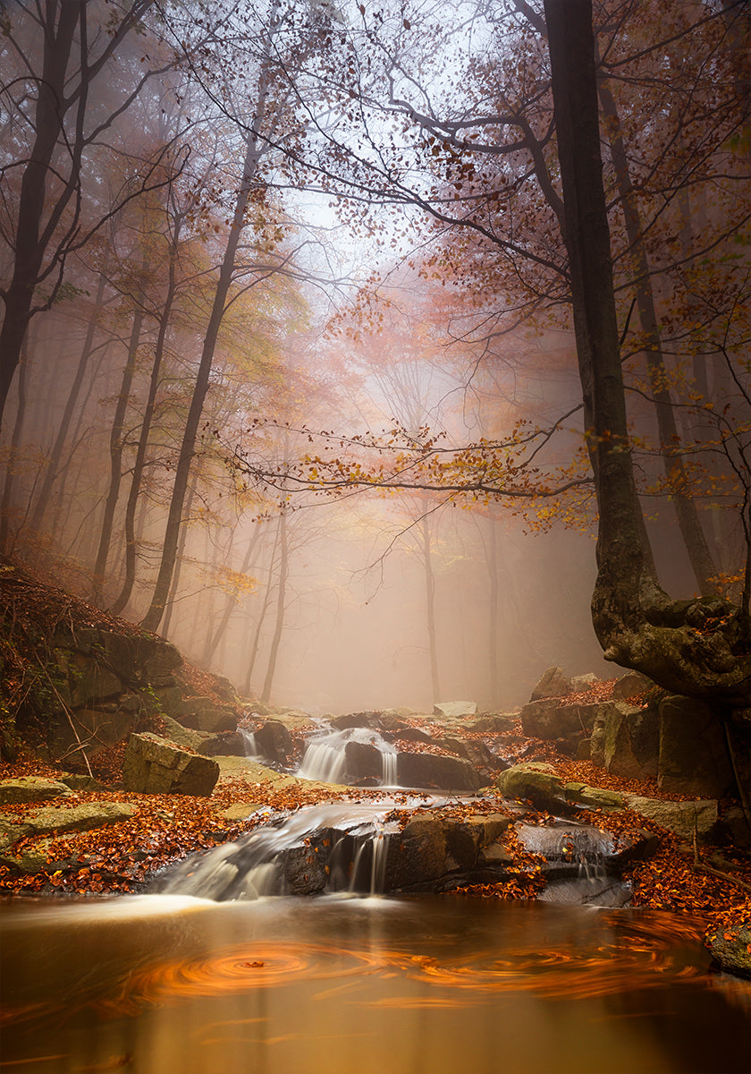 Plagát Mistyc mist