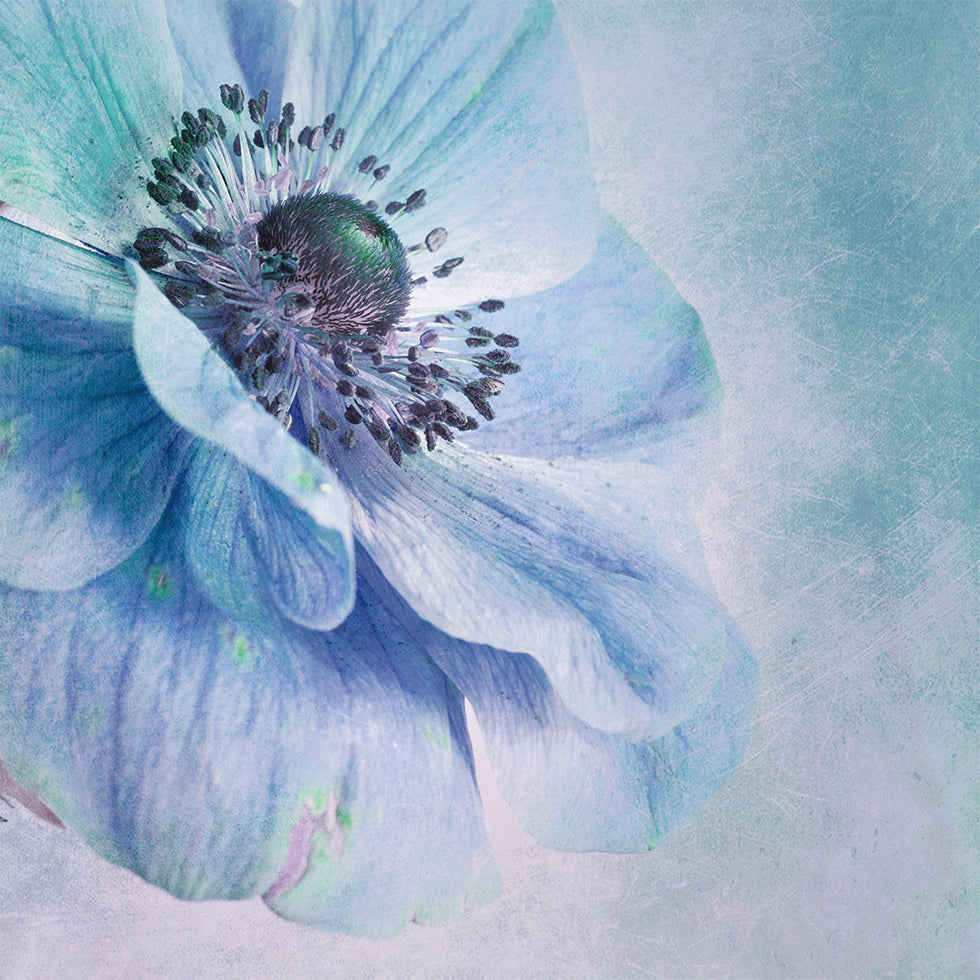 Shades of Blue poszter