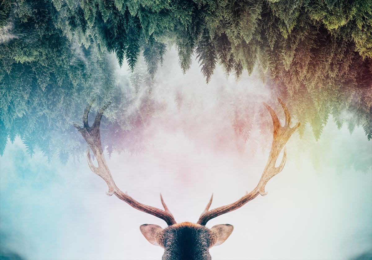 Antler Poster