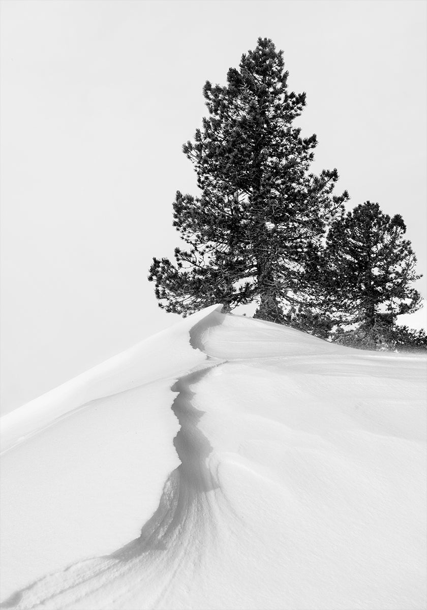 About the snow and forms Plakat