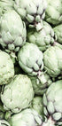 Artichokes Plakat - Posterbox.no