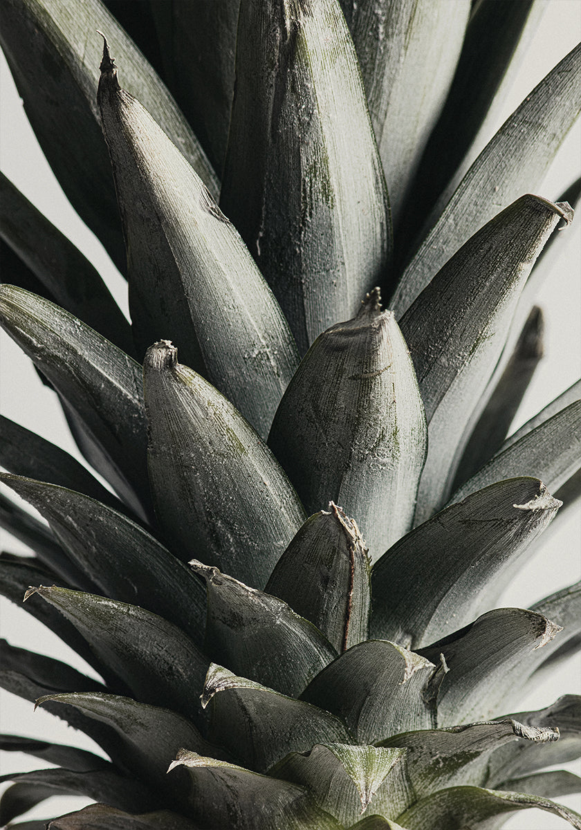 Poster mit Ananas aus nächster Nähe