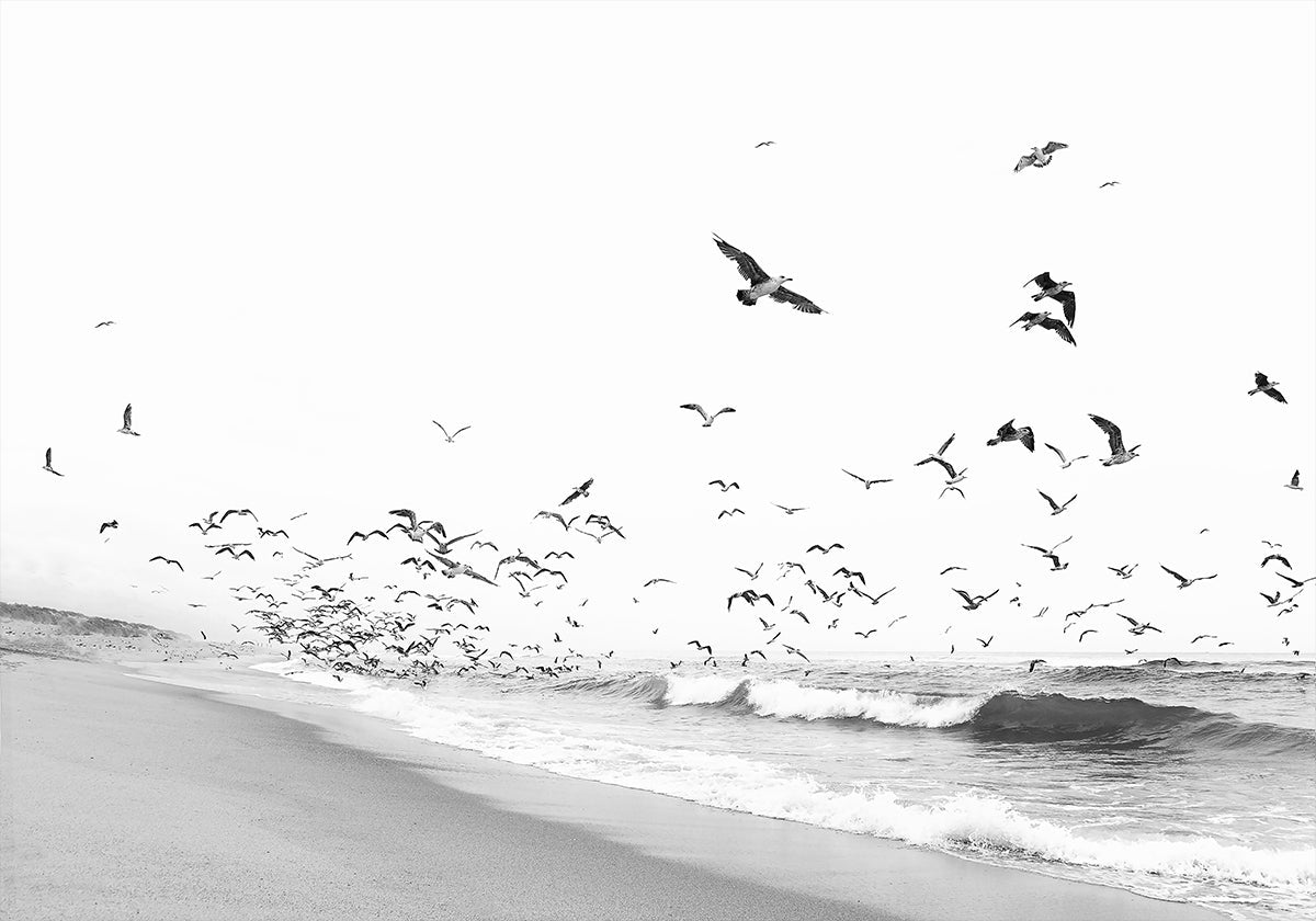 Seascape BW (NEW)