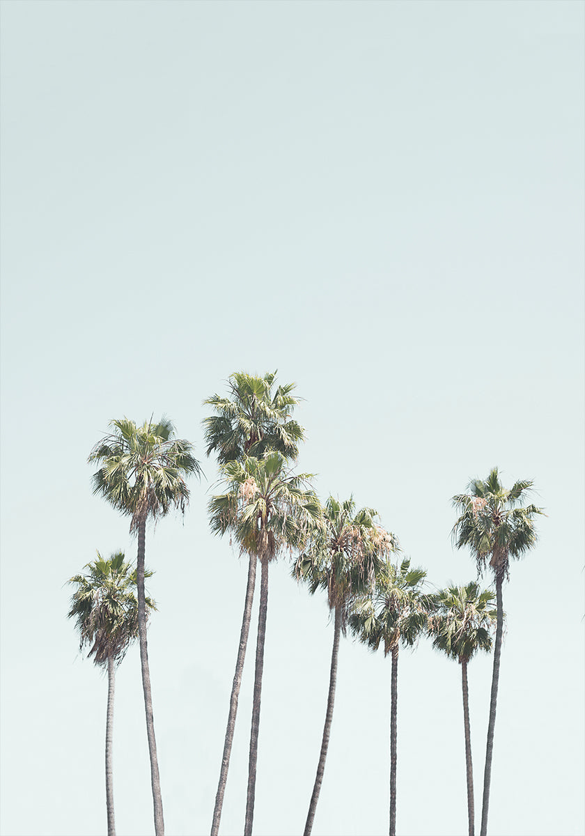 Blue Palm Trees (NEW)