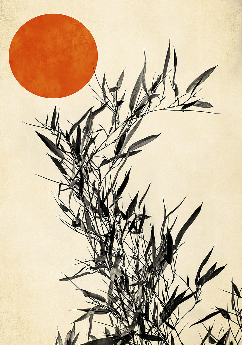 Japanese Birch (NEW)