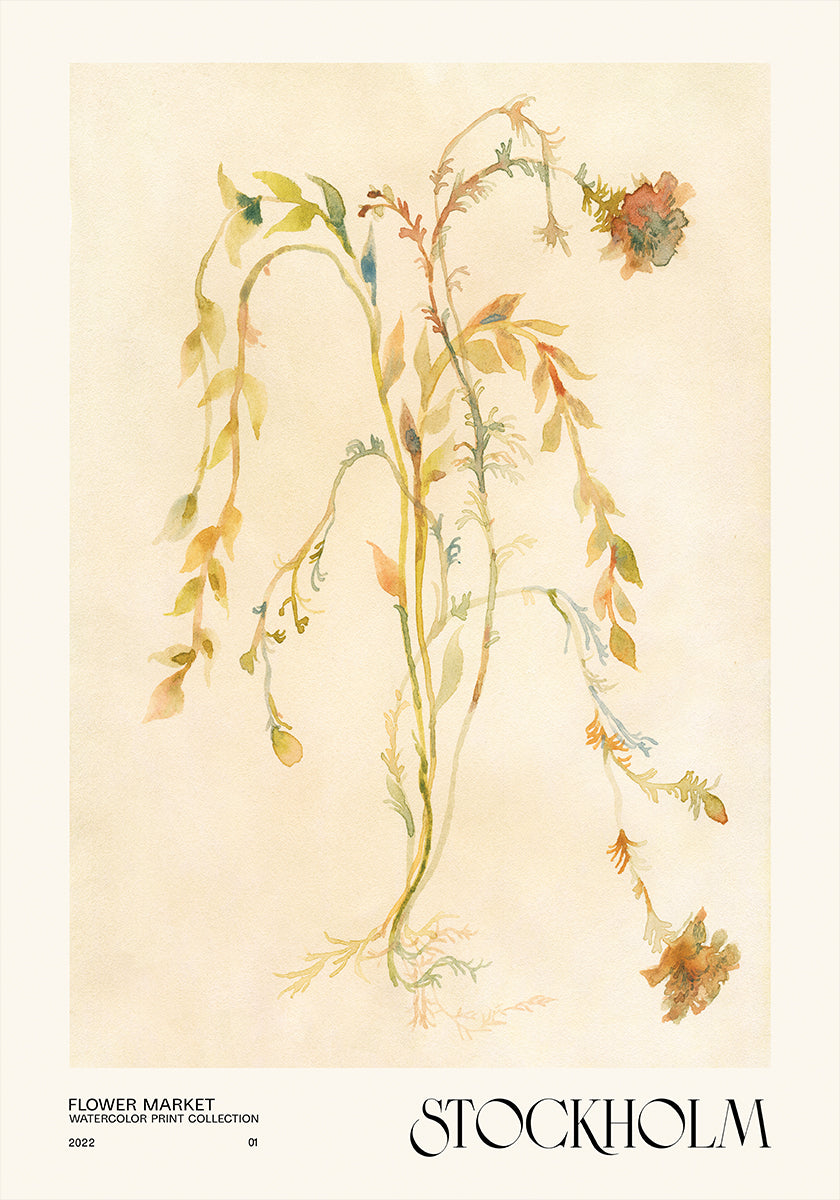 Aquarell Dréck Kollektioun. Blummenmaart - Stockholm