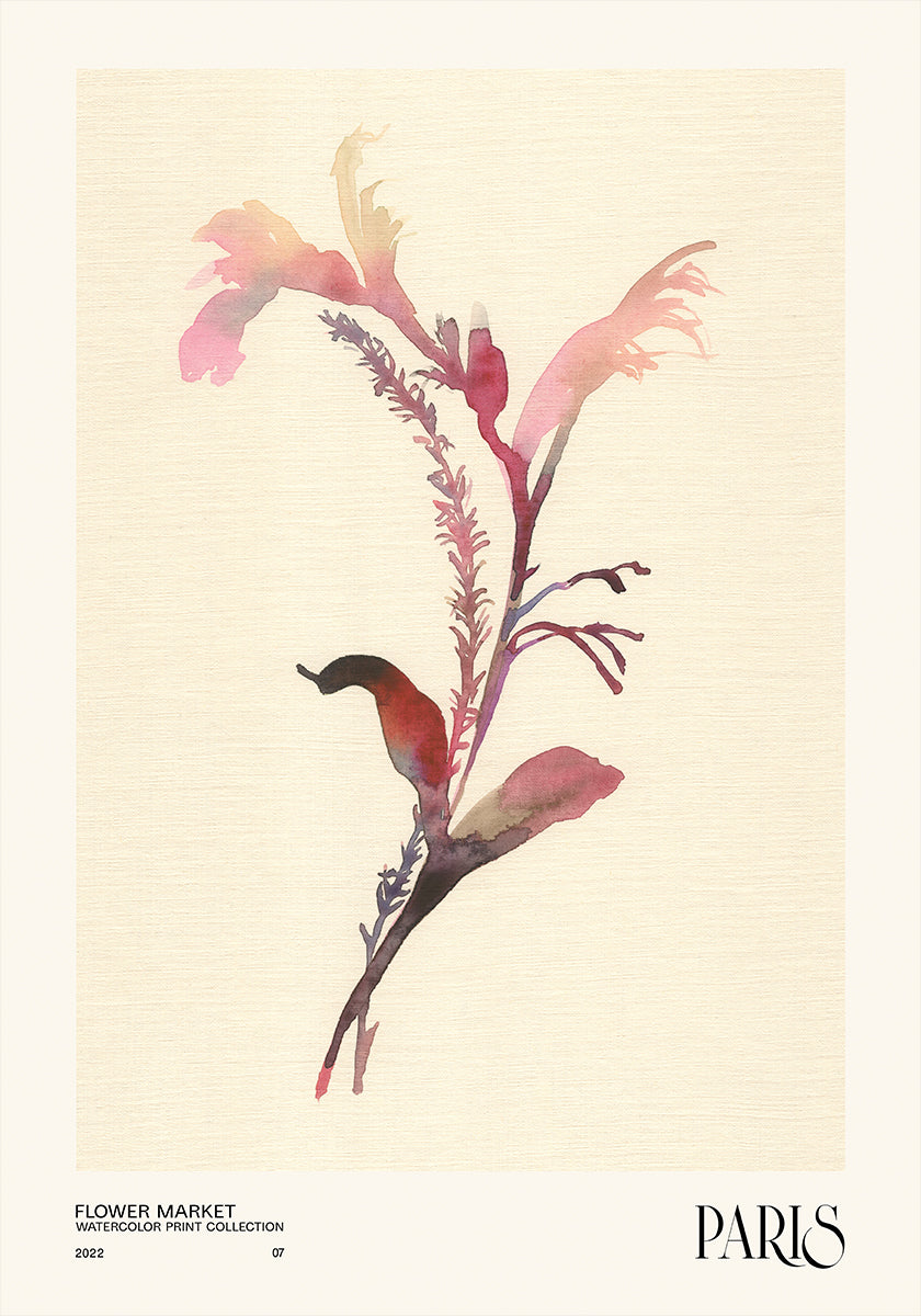 Aquarell Dréck Kollektioun. Blummenmaart - Paräis