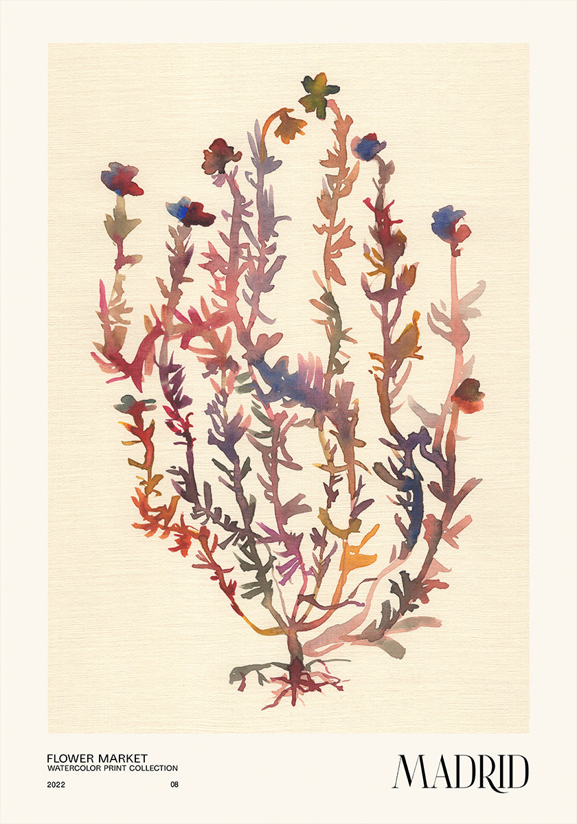 Aquarell Dréck Kollektioun. Blummenmaart - Madrid