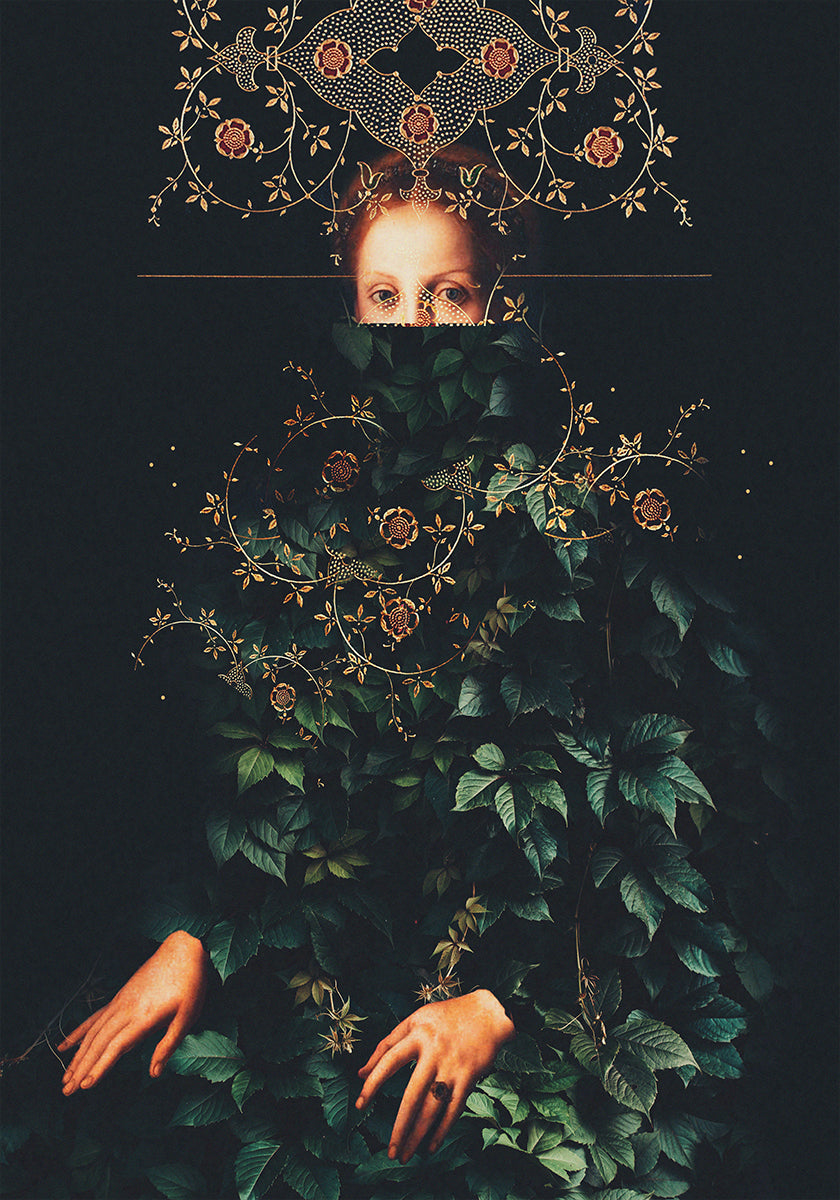 Türelem II, Frank Moth