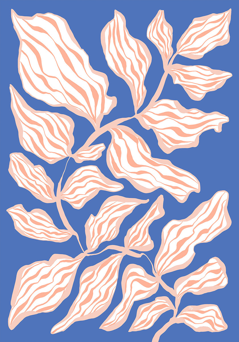 Evening Glory (NEW)