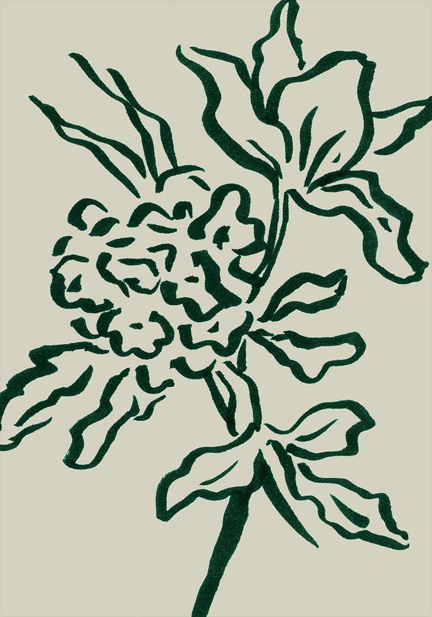 Flori