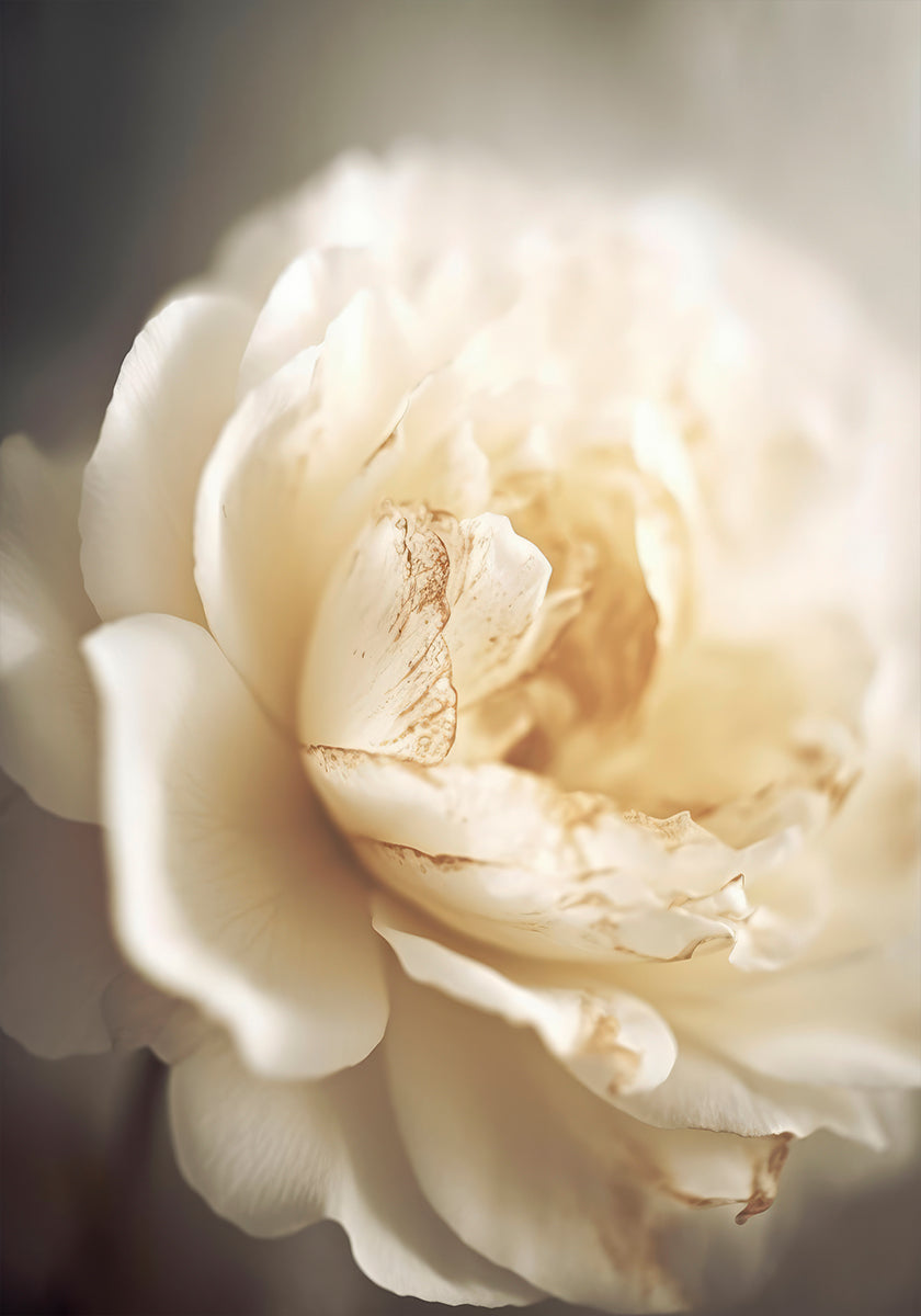 Bloom eteric