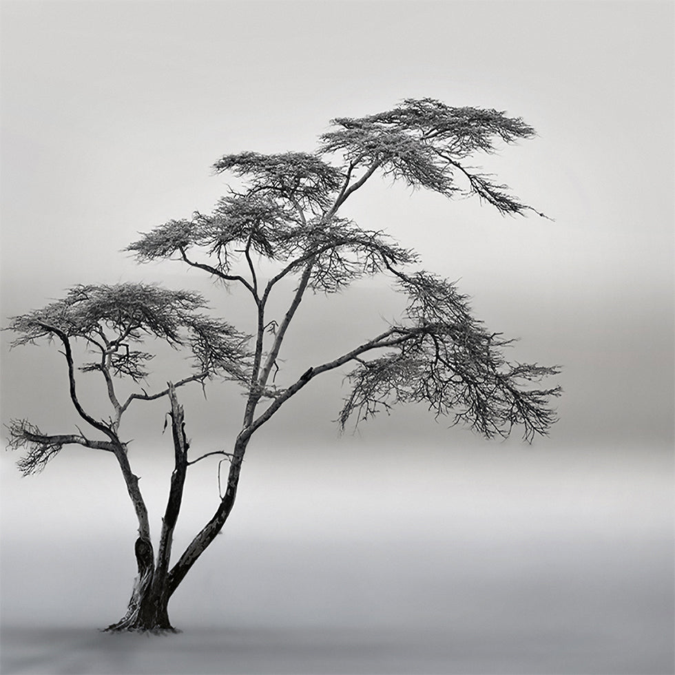 egy nagyon hosszú történet plakát