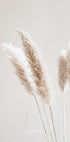 Dried Nature Plakat - Posterbox.no
