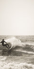 Surfing on Beach Plakat - Posterbox.no