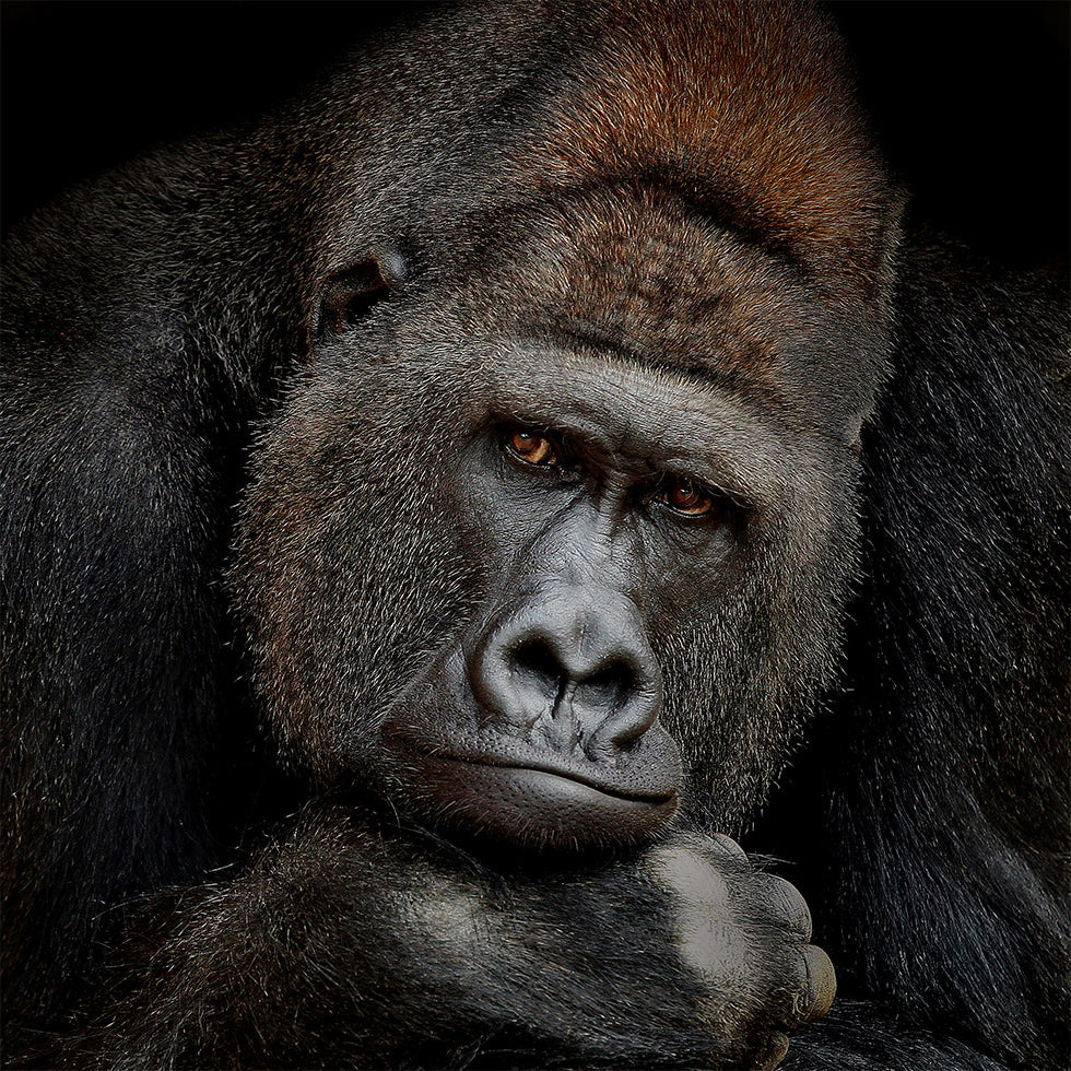 JEDEN CHVÍĽ V KONTAKTE Plagát