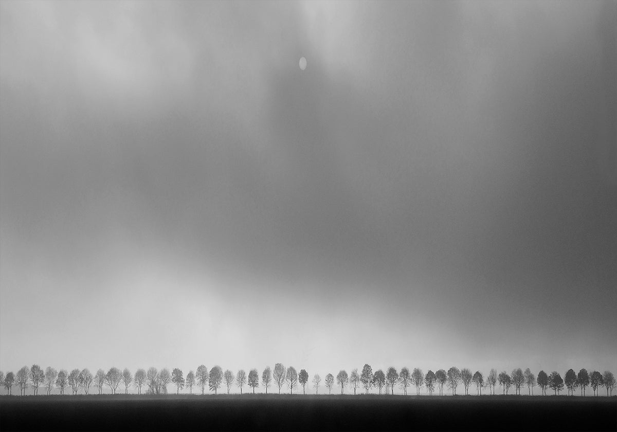 Polderlandschaft