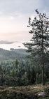 Nature Landscape Plakat - Posterbox.no