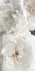 Bouquet Of White Peonies Plakat - Posterbox.dk