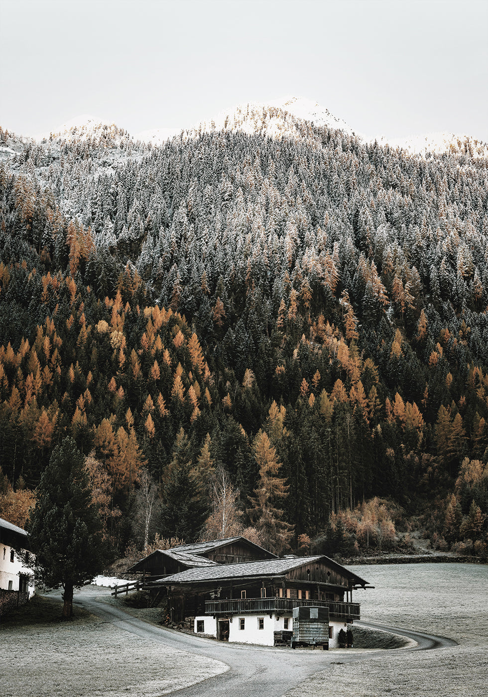 Rustic Houses in the Mountains Plakat - Posterbox.dk