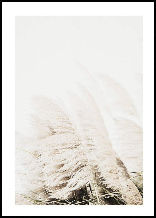 Reed In Wind Plakat - Posterbox.dk