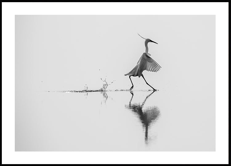 "Dancing on the water" Poster