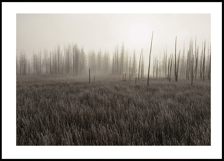 Tangled Creek Plakat - Posterbox.dk