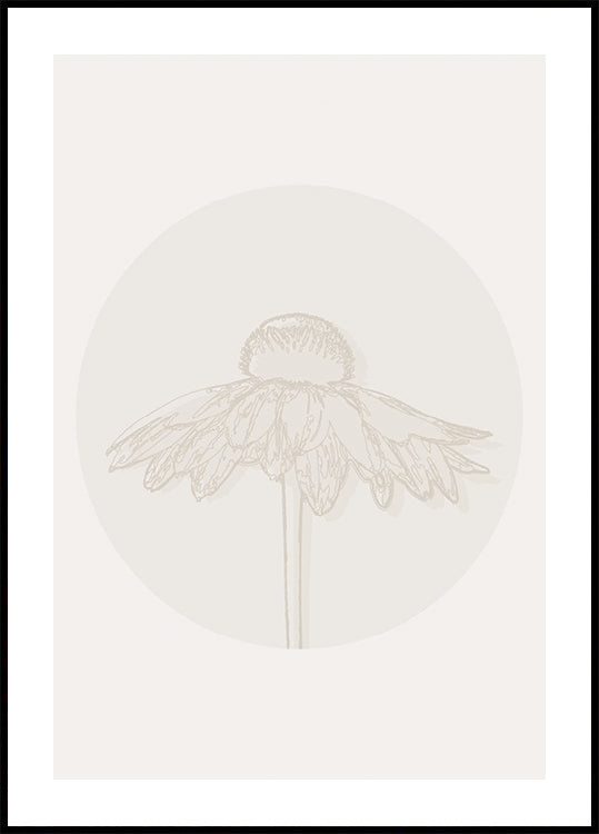 Gaillardia Bloom, Botanical Line Art plakát