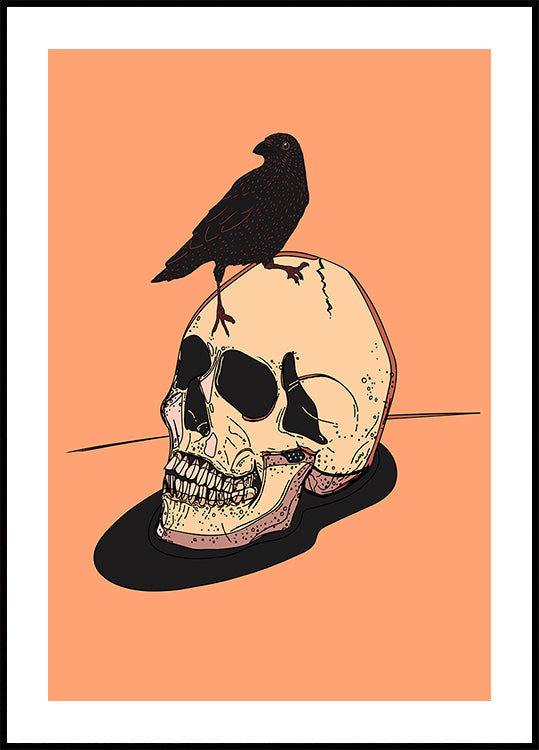 Schädel a Raven Poster