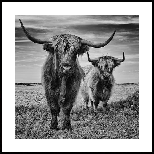 Highlands plakāts