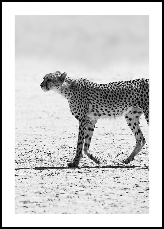 Silent Pursuit