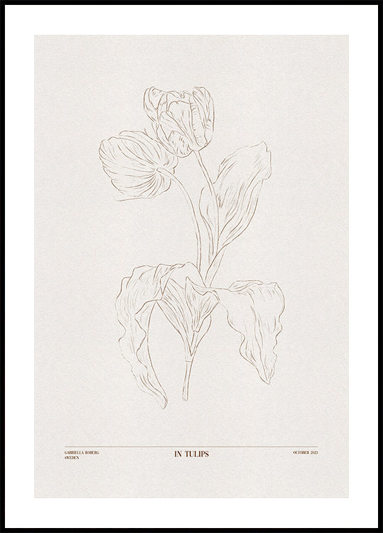 An Tulpen (brong)