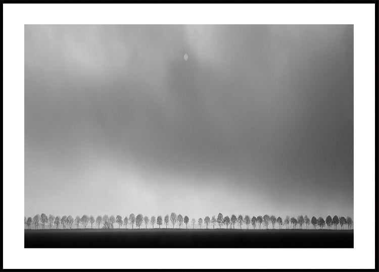 Polder táj
