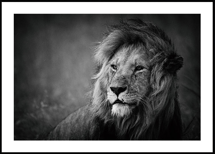 Regal Affiche