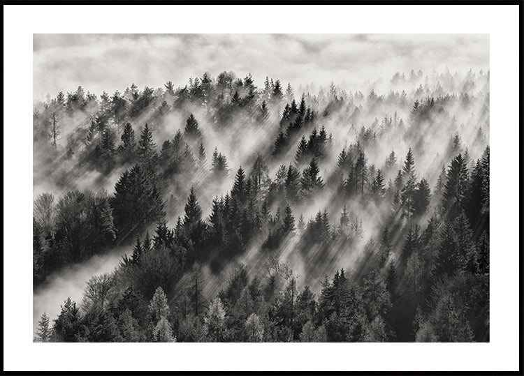 Sundance Nr.1 plakatas