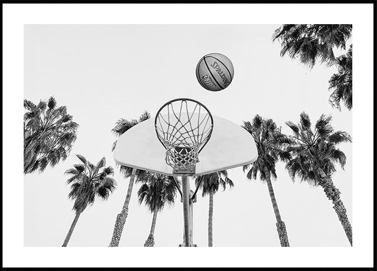 Basketbola plakāts
