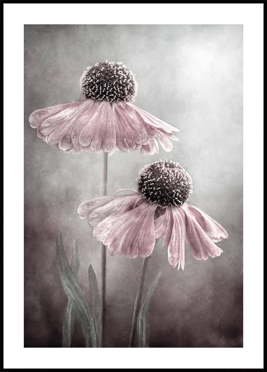 Poster duet