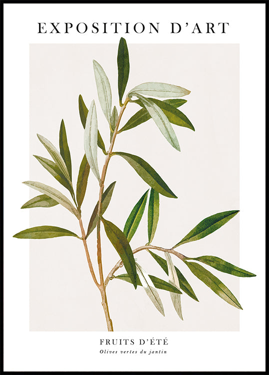 Olive Plakat - Posterbox.dk