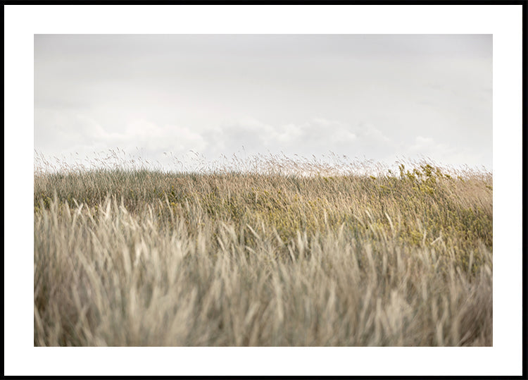 Dunes and Clouds 2