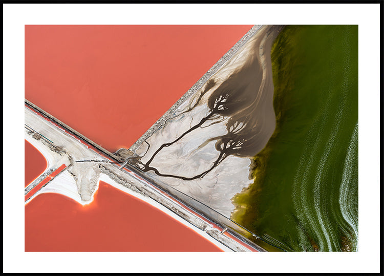 A természet festménye