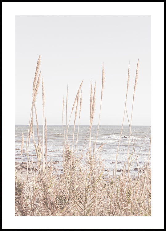 Beach_Vass_001 Plakāts