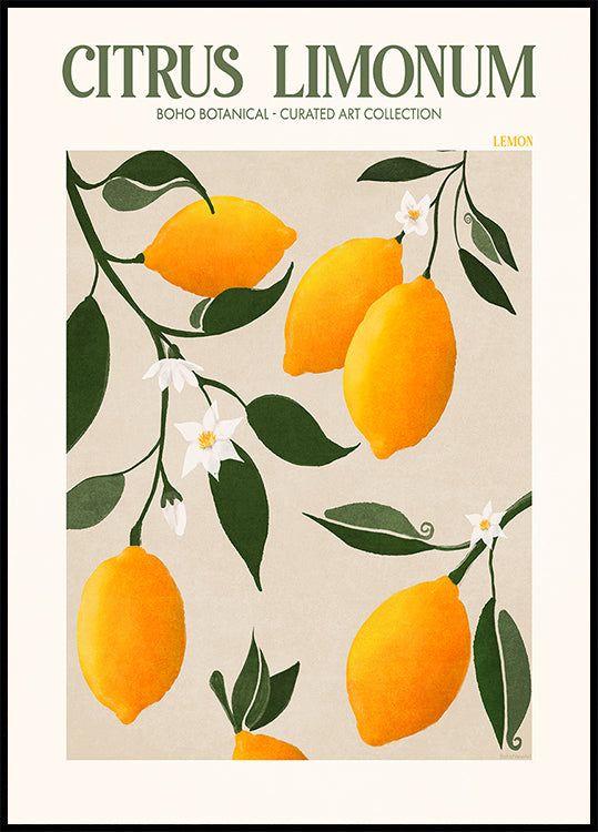 Golden Citrus Delight Plakat