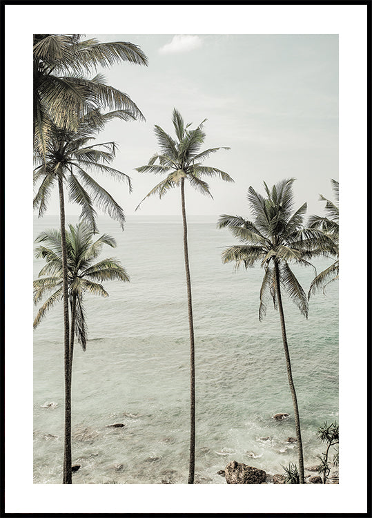 Poster Vise tropicale