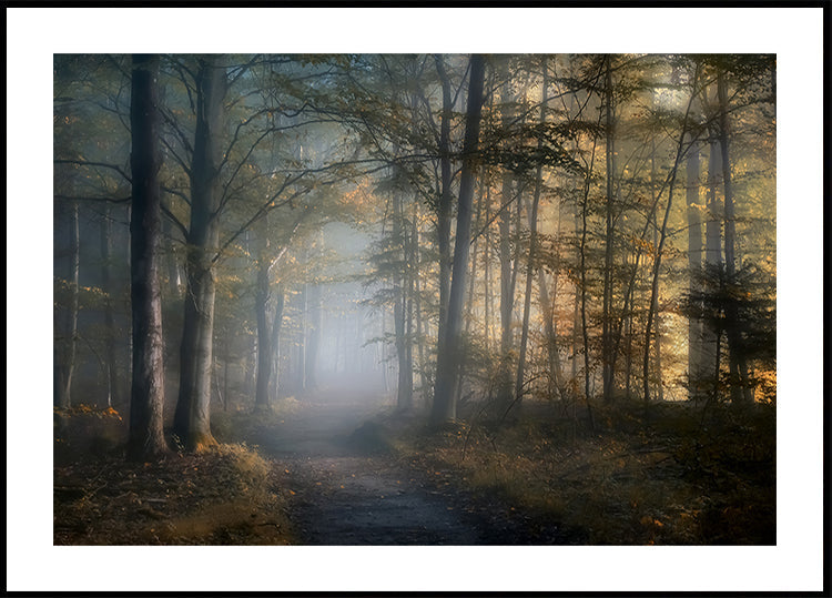 Hierscht Symphonie Affiche