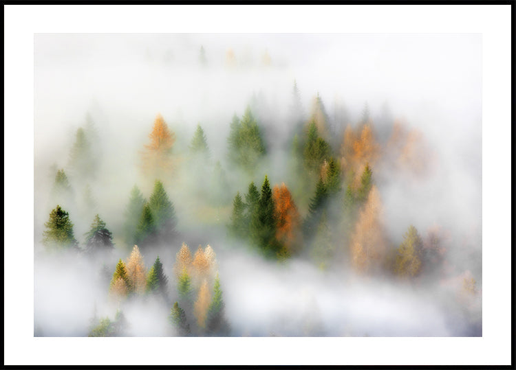 Rudens sapņu plakāts