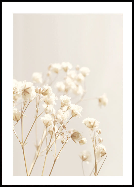 Bright Flowers Plakat - Posterbox.dk
