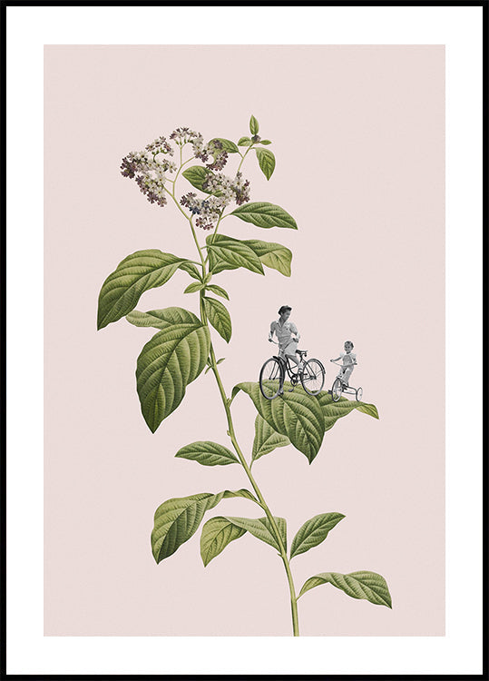 Botanesche Vëlo