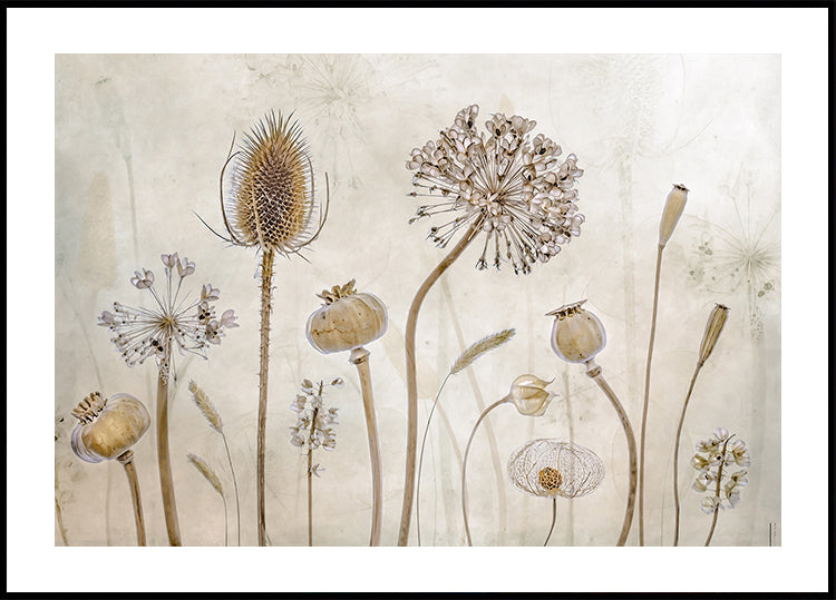 Rastúci starý plagát