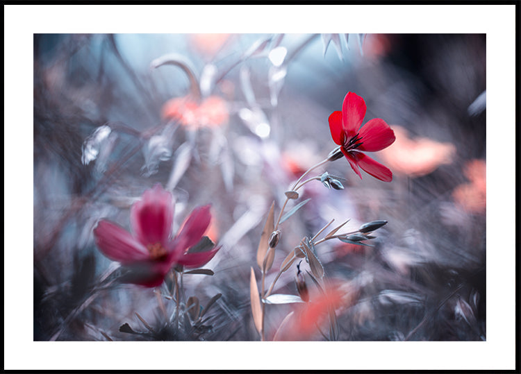 Une fleur, une istorie