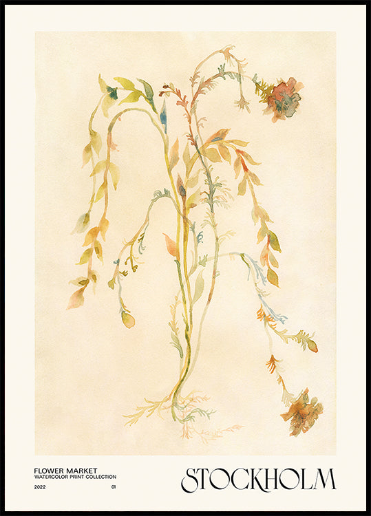 Akvarell nyomtatási gyűjtemény. Virágpiac - Stockholm